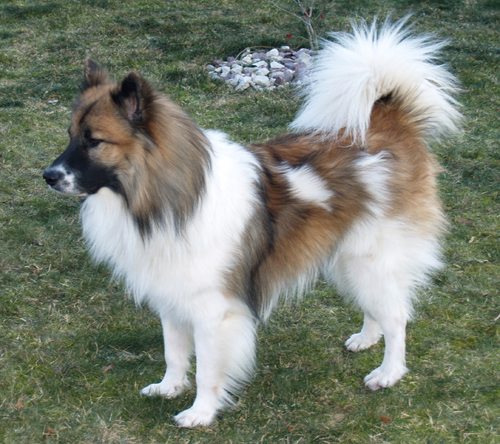 Kontakt hier beatrixchristenlippe.de